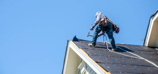 Roof Repair Estimates in Carrollton, TX